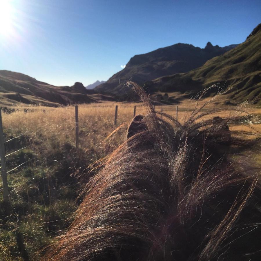 Valberg Flo Lofoten Nature Escape מראה חיצוני תמונה