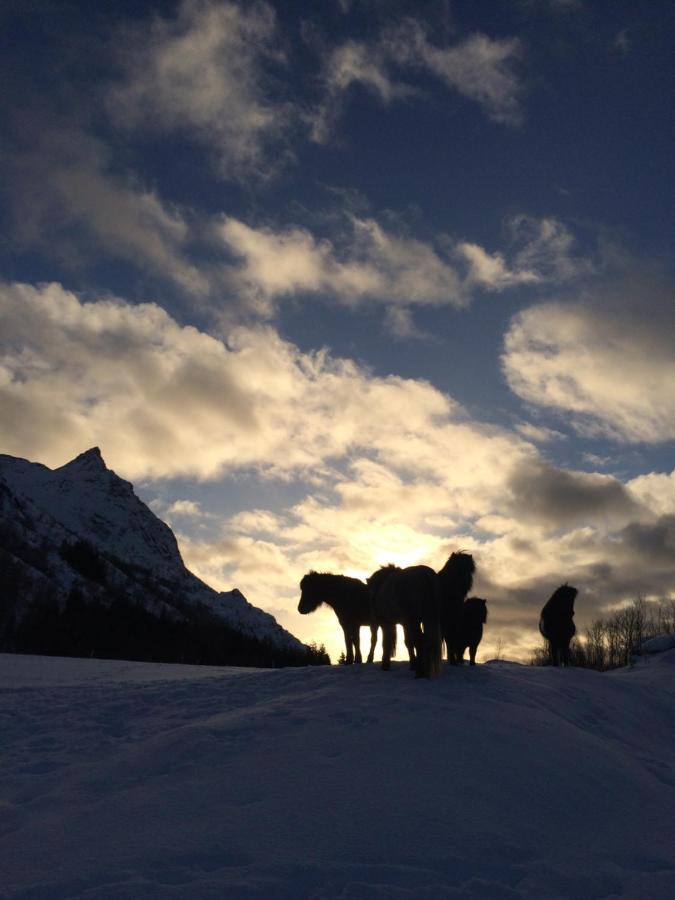 Valberg Flo Lofoten Nature Escape מראה חיצוני תמונה